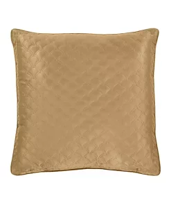 New 🌟 J Queen New York Lyndon 20" Square Decorative Throw Pillow ✨